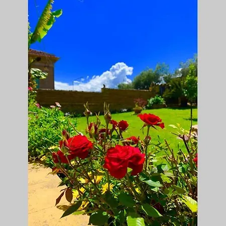 בית נופש Flowery House Miglianico