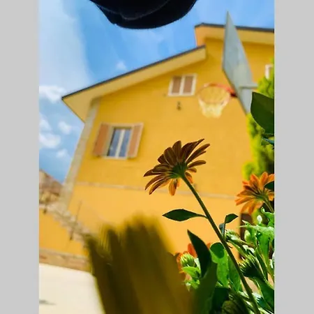 בית נופש Flowery House Miglianico